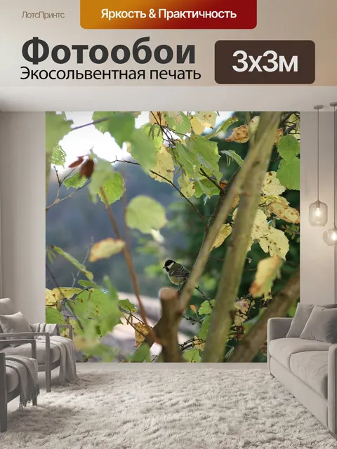 Фотообои Птицы