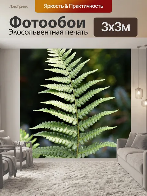 Фотообои Папоротник