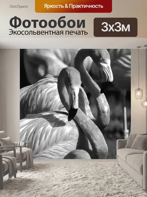 Фотообои Фламинго