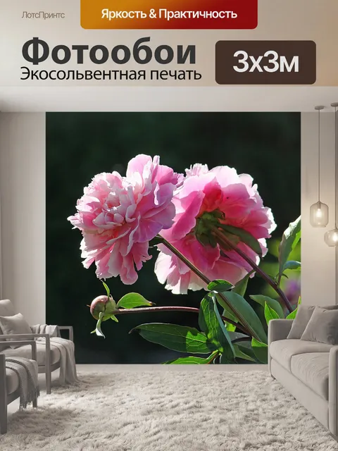 Фотообои Розы флора растения