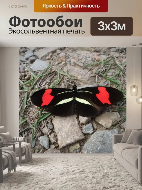 Фотообои Бабочка