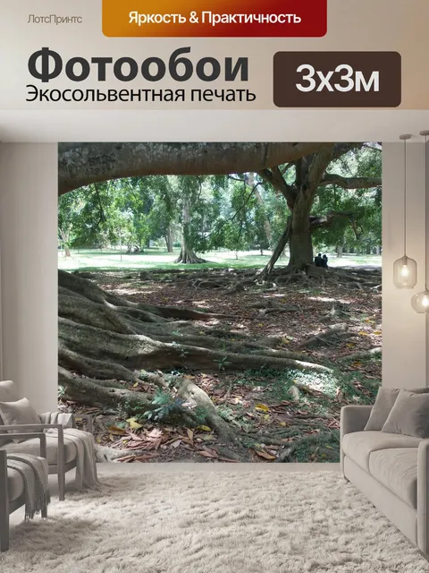 Фотообои Дерево