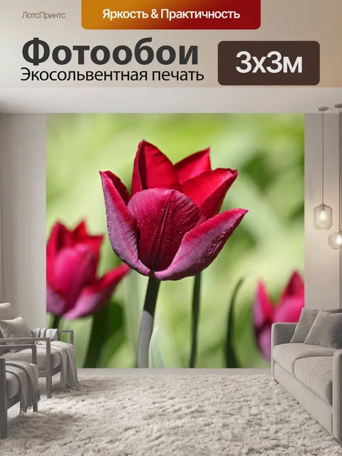 Фотообои Тюльпаны