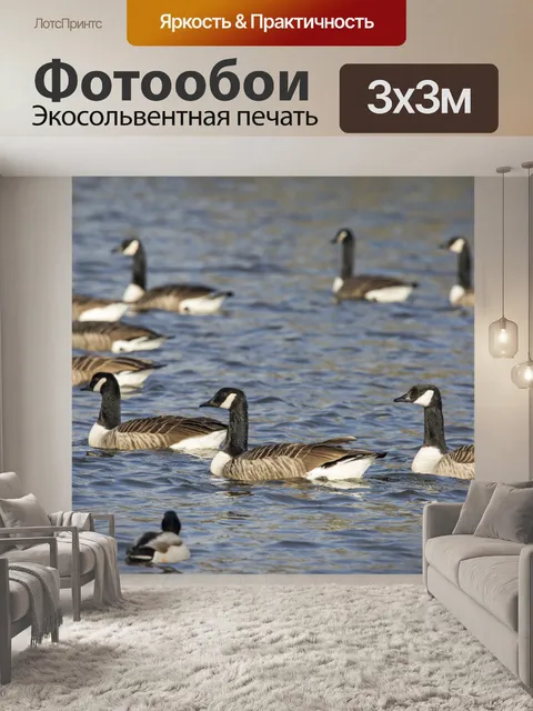 Фотообои Грейлаг Гусь