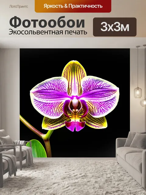 Фотообои орхидея с золотыми прожилками на лепестках