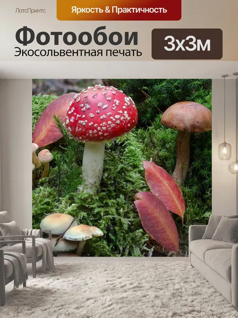 Фотообои Лес