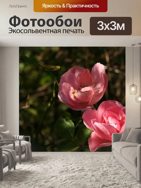 Фотообои Расцветает