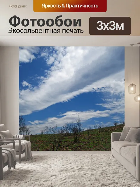 Фотообои Побеги травы после пожара под облаком