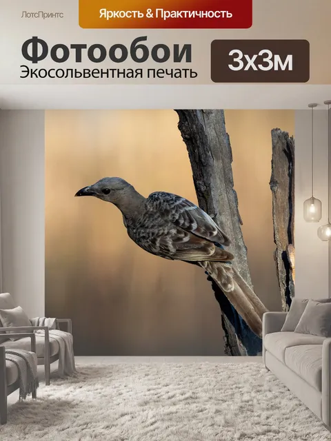 Фотообои Птицы