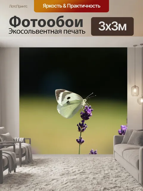 Фотообои Бабочка