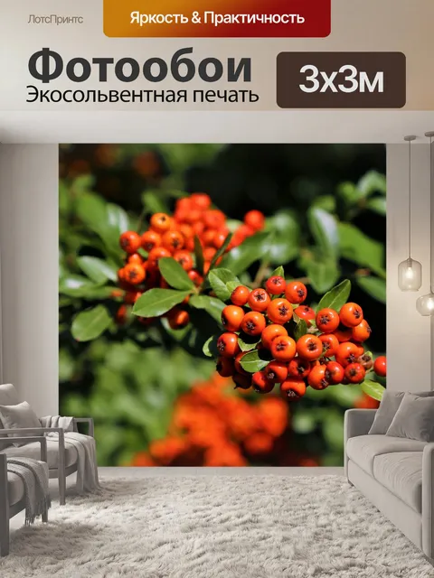 Фотообои Осень