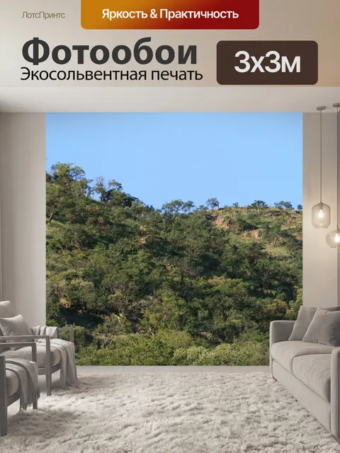 Фотообои деревья вдоль хребта