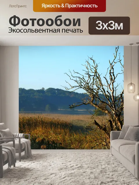 Фотообои Восход солнца