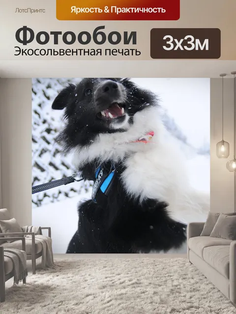 Фотообои Зима