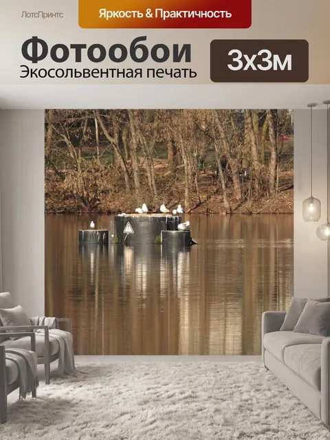 Фотообои Птицы