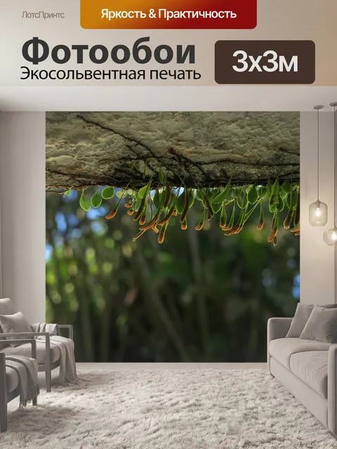 Фотообои Природа