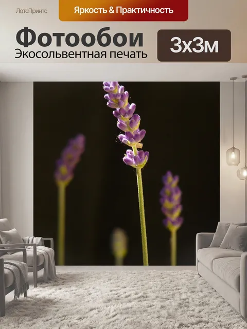 Фотообои Настоящая лаванда
