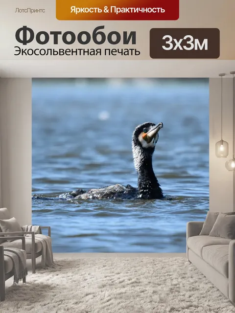 Фотообои Птицы