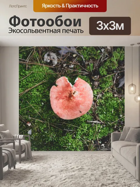 Фотообои Природа