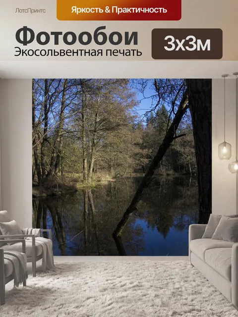Фотообои Лес