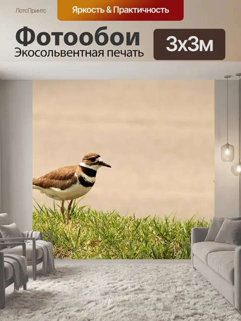 Фотообои Убийца, стоящий в зеленой траве
