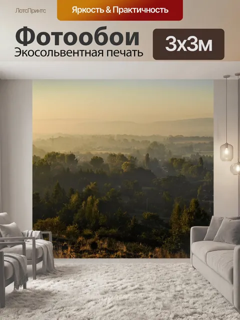 Фотообои Вид
