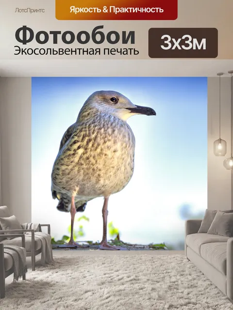 Фотообои Птица