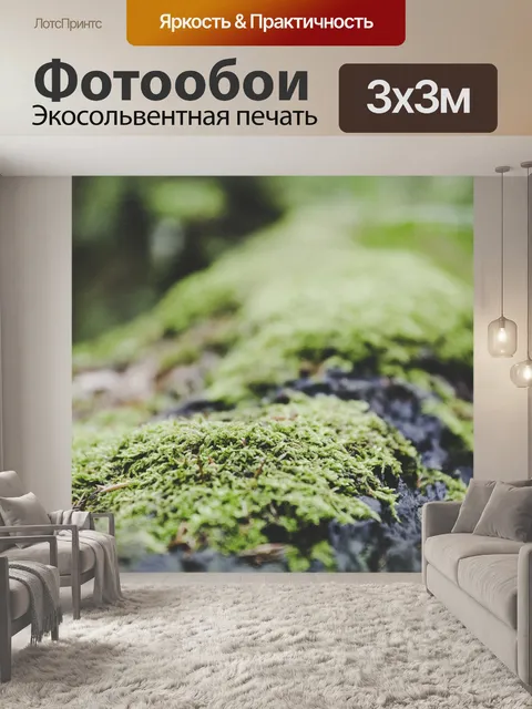 Фотообои Мох