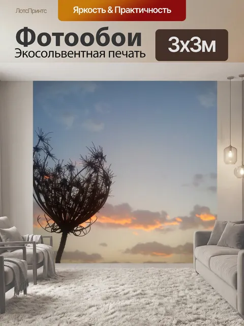 Фотообои Сухое сорняк против заката