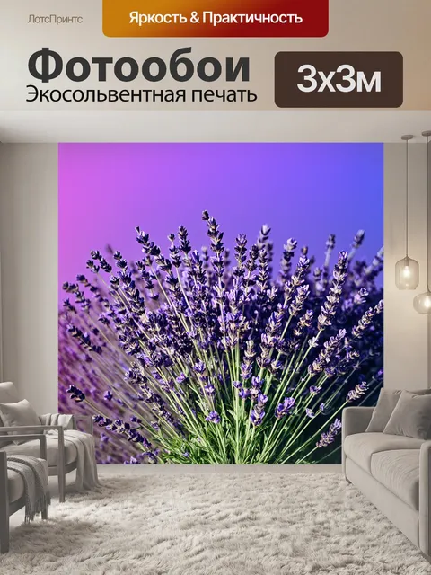 Фотообои градиент лавандового к фиолетовому