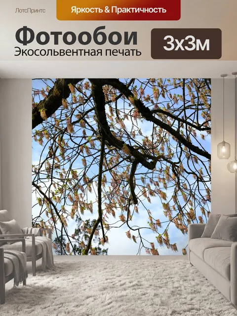 Фотообои Ветви