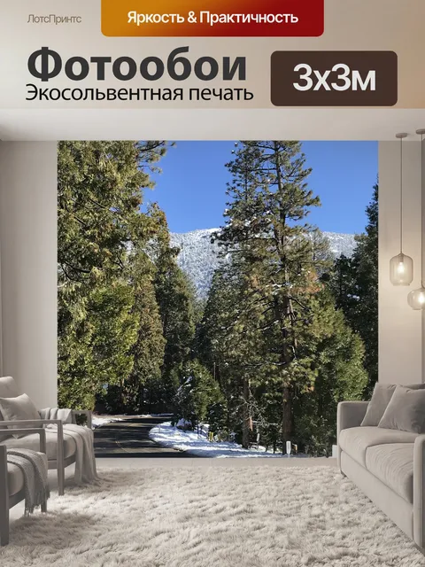 Фотообои Деревья