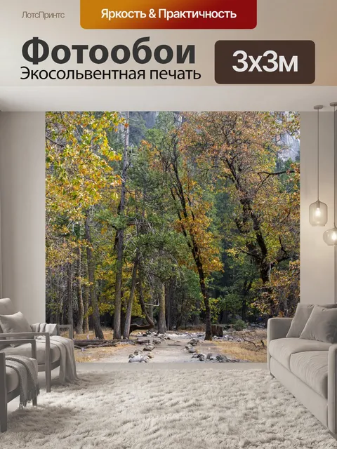 Фотообои Осенние деревья