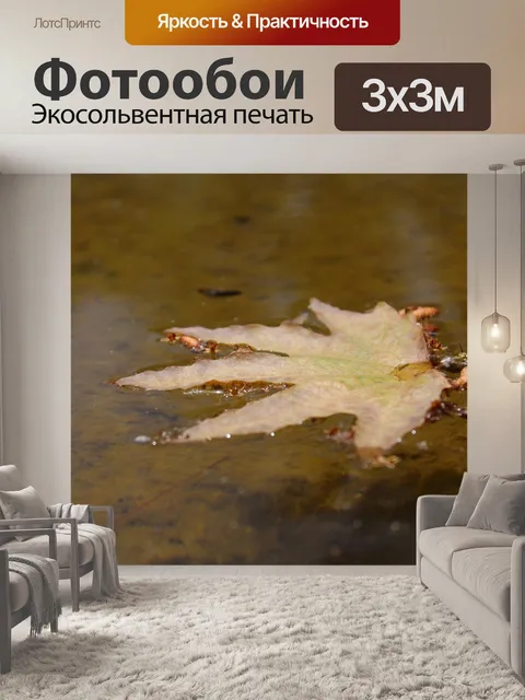 Фотообои Поток