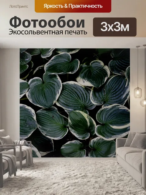 Фотообои Листья