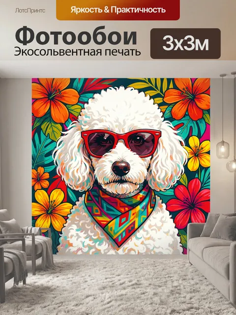 Фотообои Пудель в солнечных очках