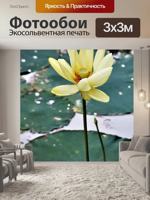 Фотообои Цветок лотоса и лилии 2