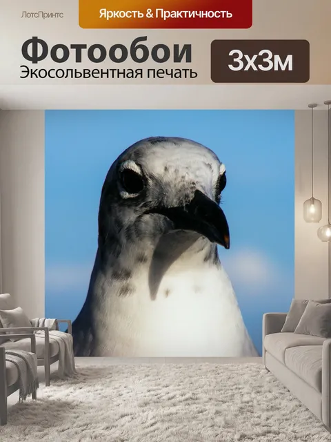Фотообои Море