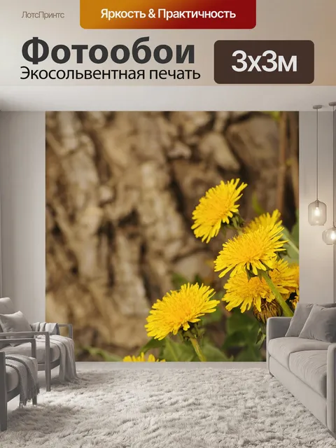 Фотообои Одуванчики