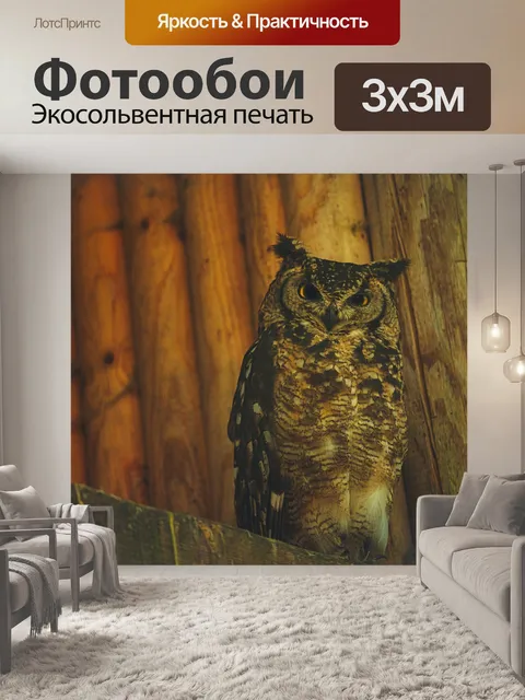 Фотообои Сова