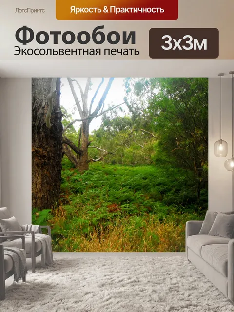 Фотообои Папоротники в овраг