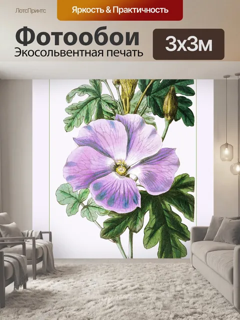 Фотообои Цветок Мальвы Винтаж Плакат