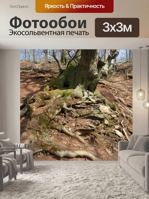 Фотообои Лес
