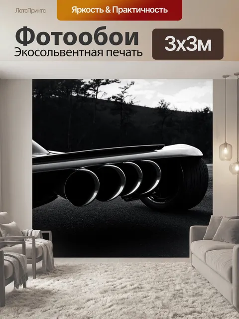 Фотообои силуэт выхлопных труб спорткара на фоне дикой природы, выполненный в стиле черно-белой фотографии