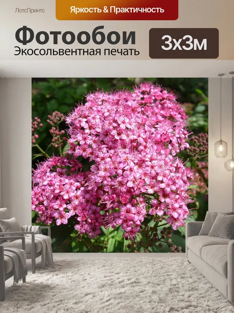 Фотообои Сад