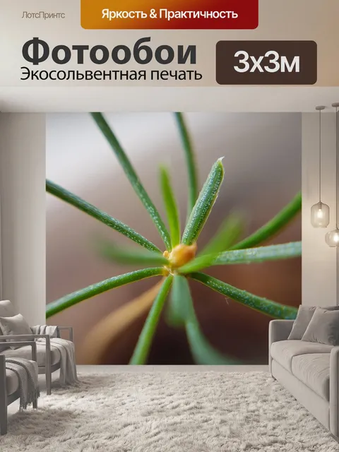 Фотообои Лес
