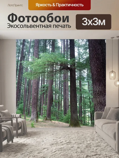 Фотообои Гималайский сосновый лес