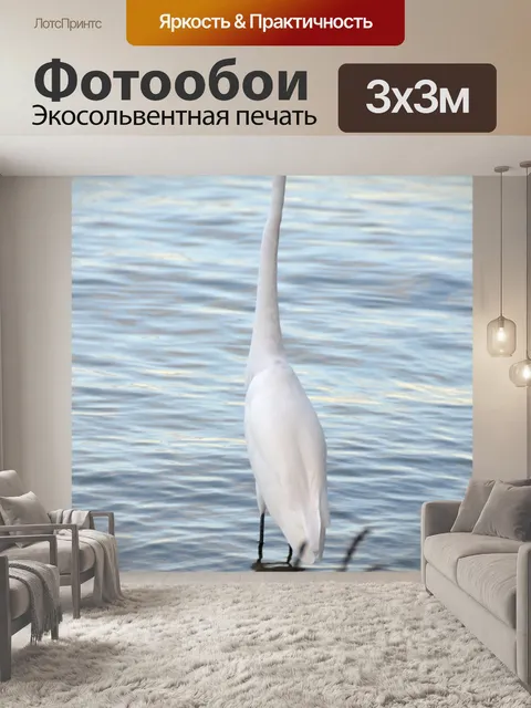 Фотообои Белая цапля