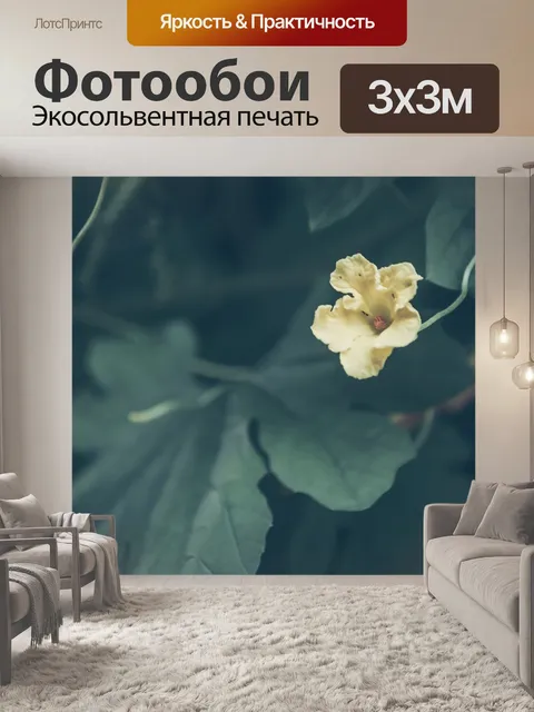 Фотообои Макрос