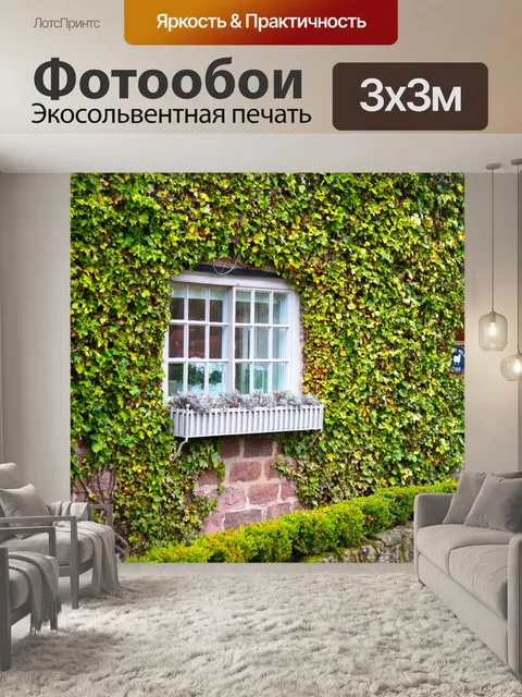 Фотообои Окно